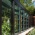 2500_048_GreenhouseAM1