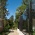 2500_048_pic_greenhouseside