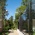 2500_048_GreenhouseAM2