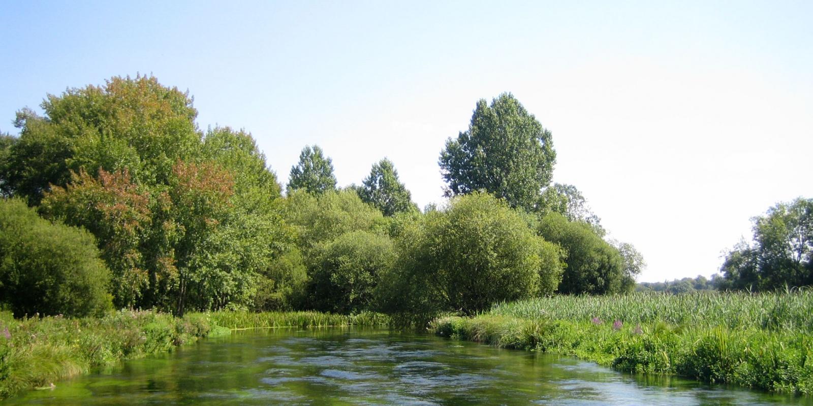 2500_pic_river